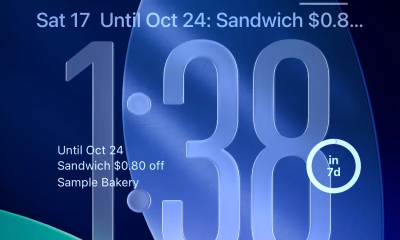 Lock Screen widgets showing the expiration date and days left